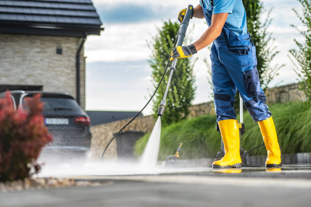 Best Roof Pressure Washing  in Cumberland, MD