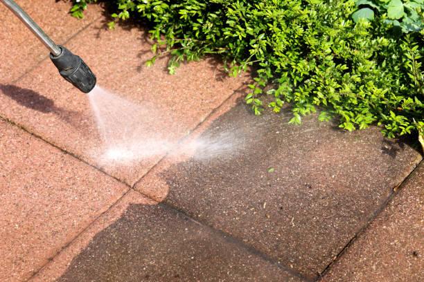Best Best Pressure Washing Companies  in Cumberland, MD